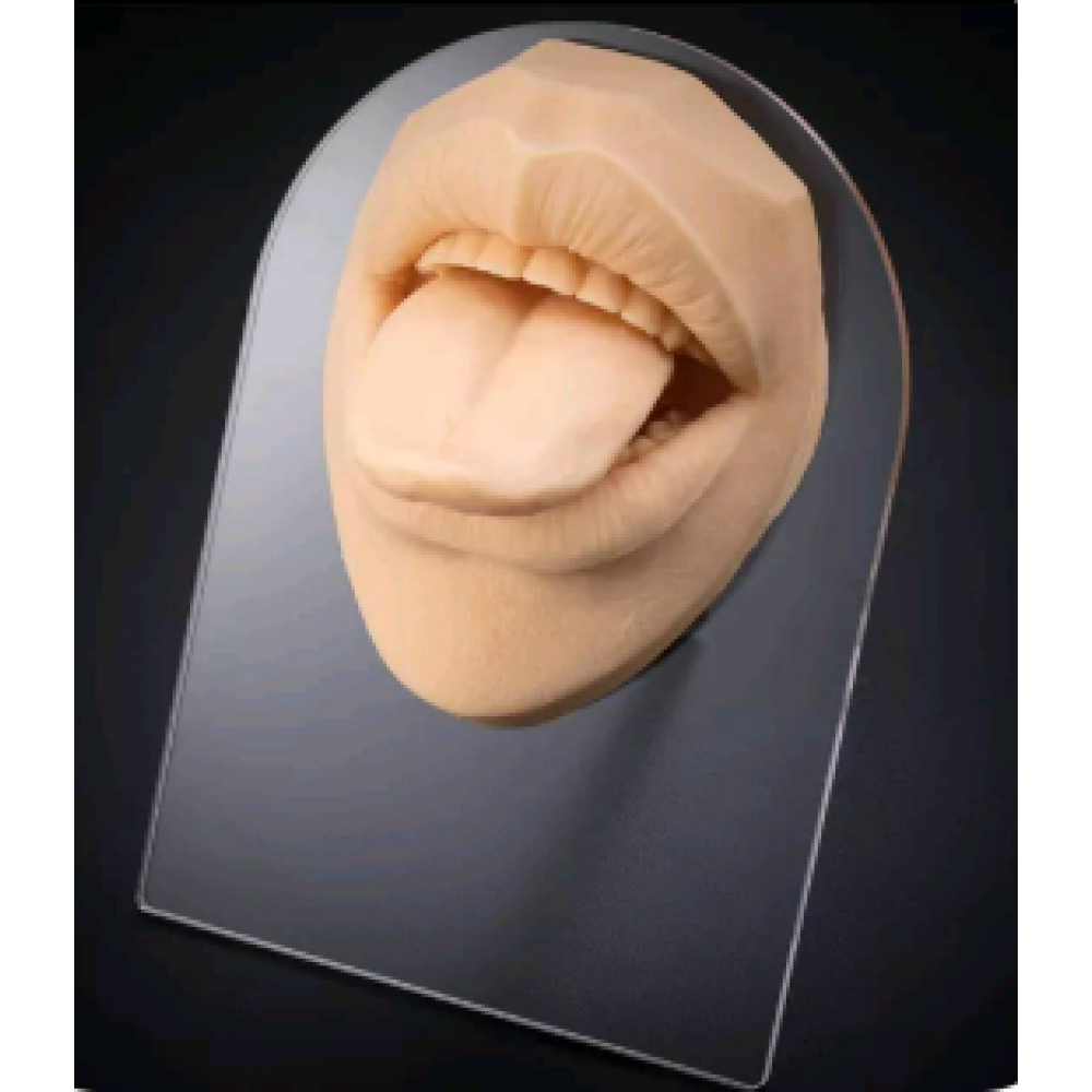 Силіконовий макет з підставкою - язик